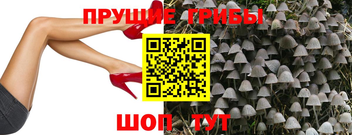 Псилоцибиновые грибы GOLDEN TEACHER Киржач