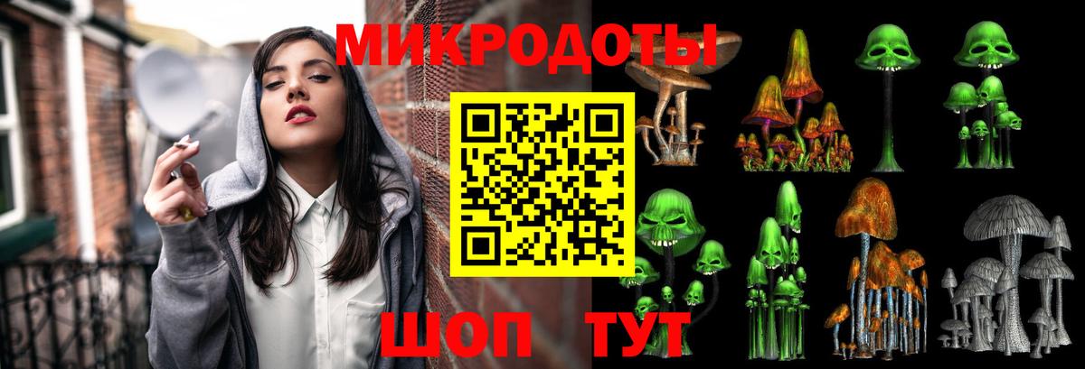 Киржач  Галлюциногенные грибы Cubensis  Вход с VPN 